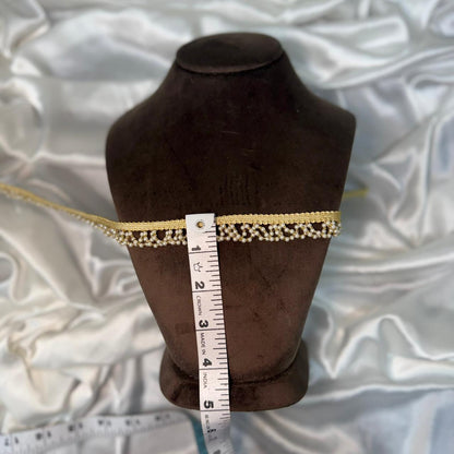Designer Gold & Pearl work Lace Border