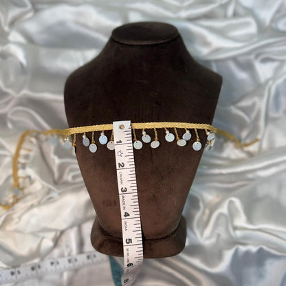 Elegant silver Sequin & Pearl Decorative Lace