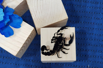Black Scorpio Designer Brooch/Lapel Pin 1 Piece