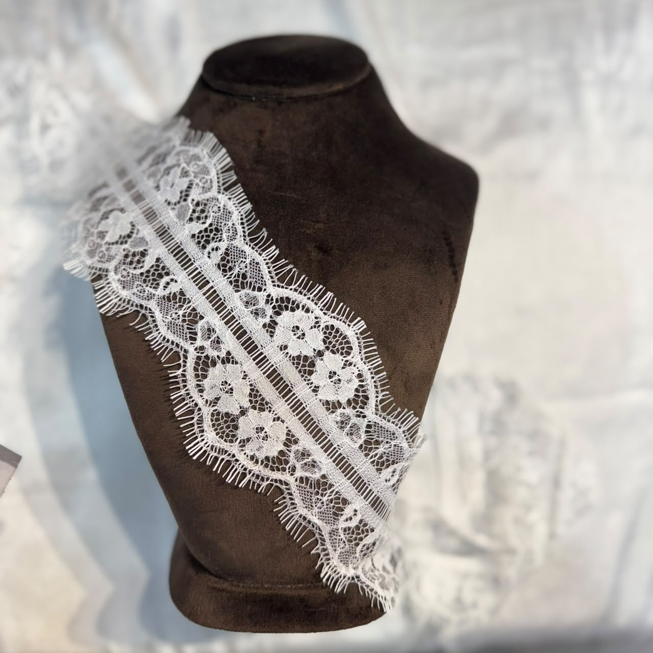 Elegant White Soft Chantilly Lace Border