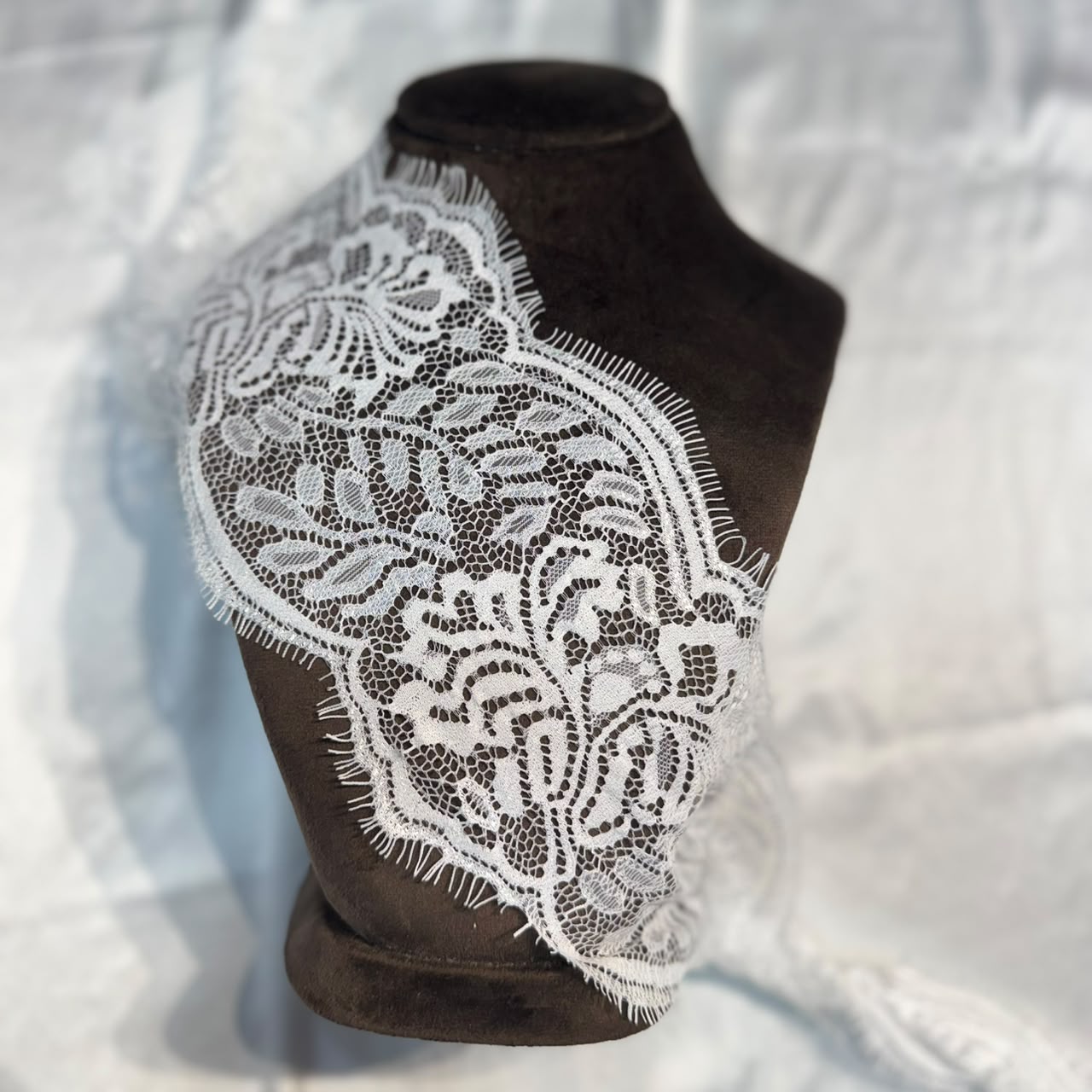 Soft White Floral Chantilly Lace Border