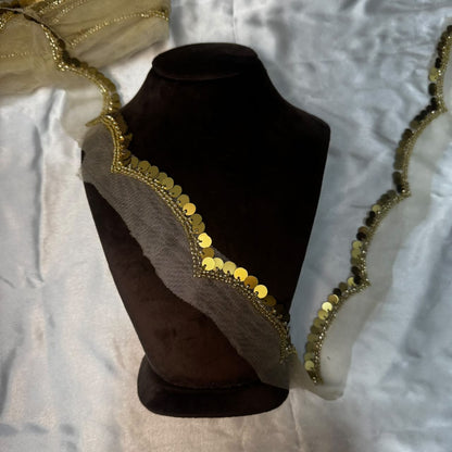 Designer Sequin Embellished Net Lace Border