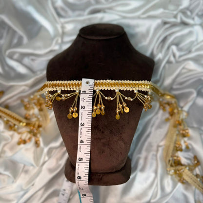 Gold Pearl & Sequin Tassel Lace Border