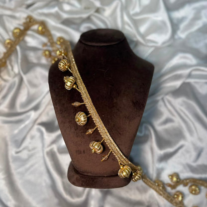 Golden Ghungroo Tassel Lace Border