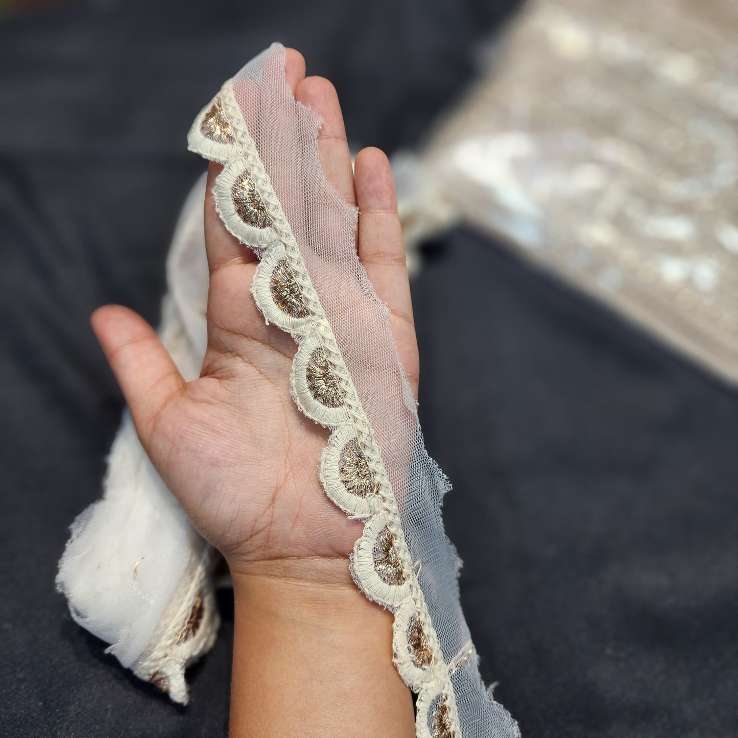 Off White Cutwork Lucknowi Dyeable Laces with Gold work