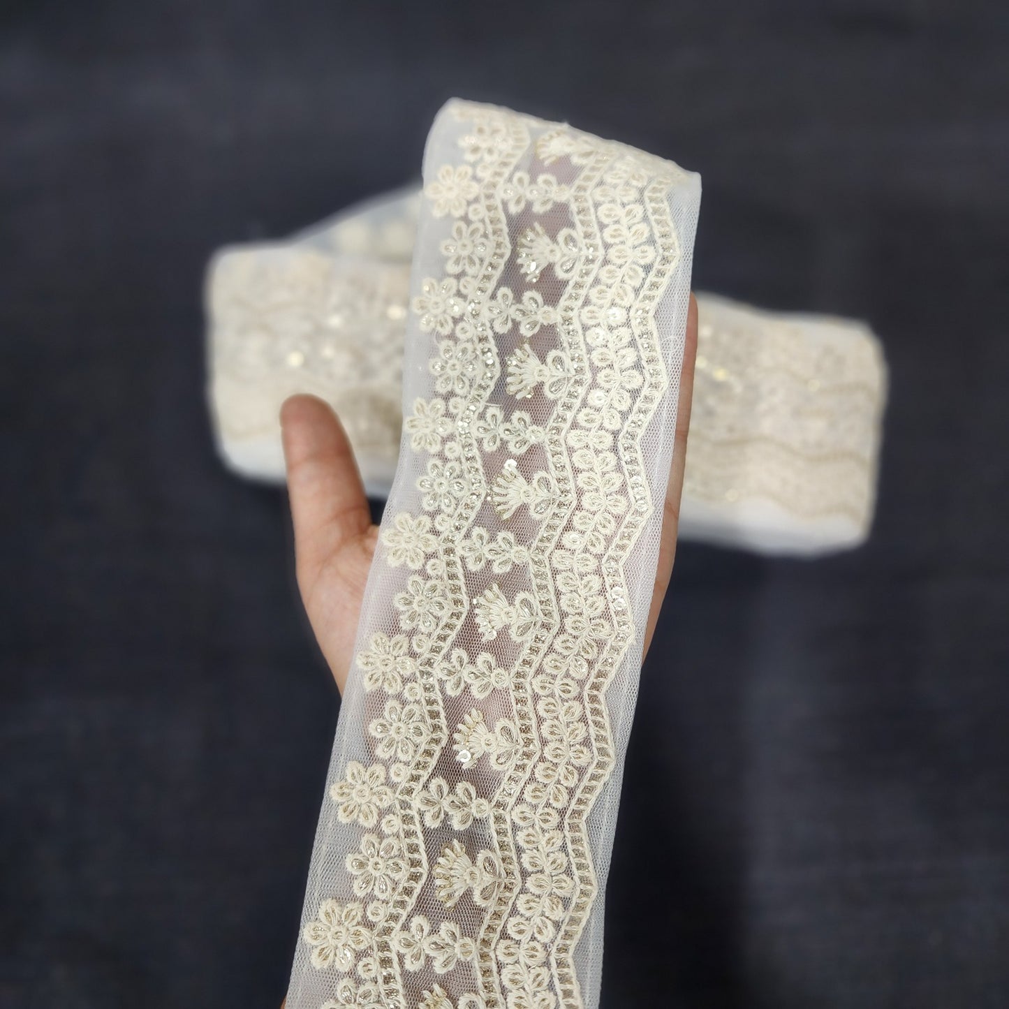 Dyeable Off White Lakhnavi Lace